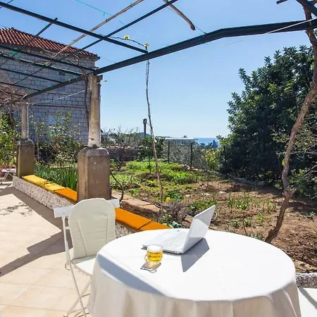 Apartman Ljubimir