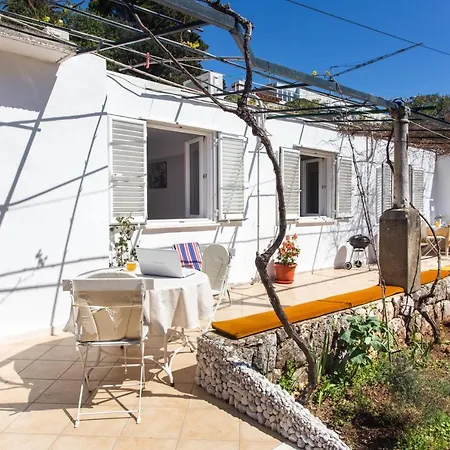 Ljubimir Διαμέρισμα *